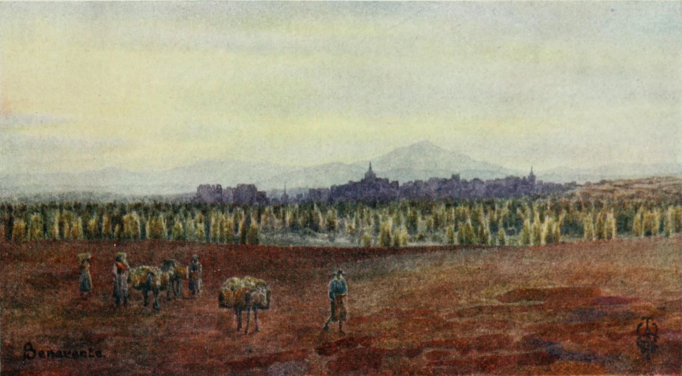 Imagen etapa siguiente