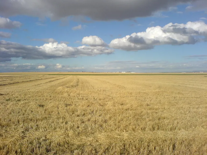 Imagen de Bercianos del Real Camino