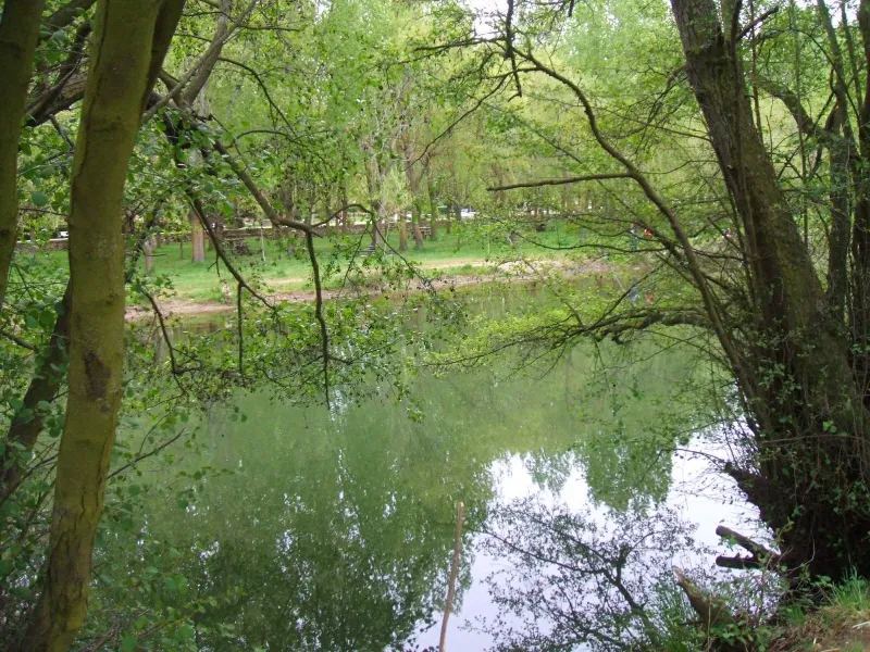 Imagen de Carrión de los Condes