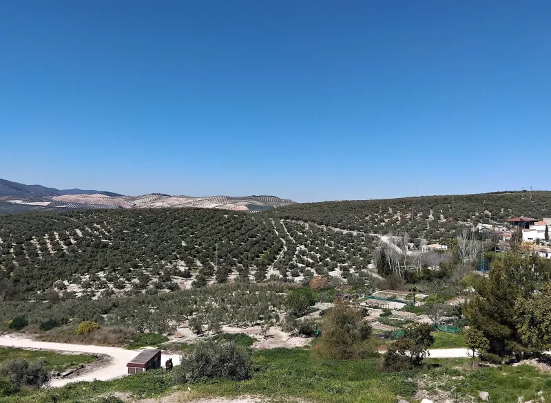 Imagen de Doña Mencía