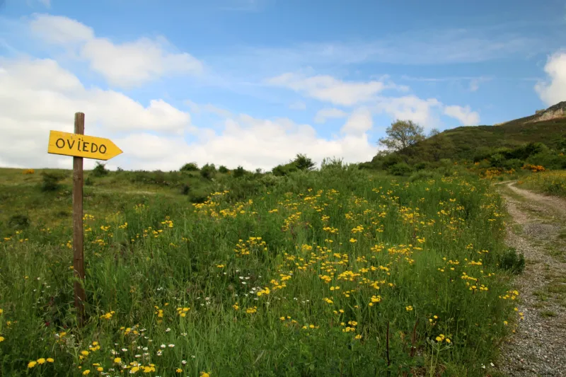 Imagen de Poladura de la Tercia