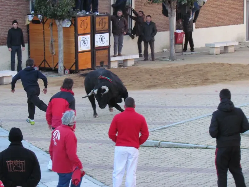 Imagen de Siete Iglesias de Trabancos