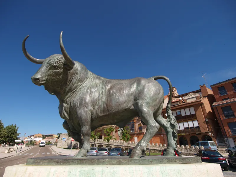 Imagen de Tordesillas
