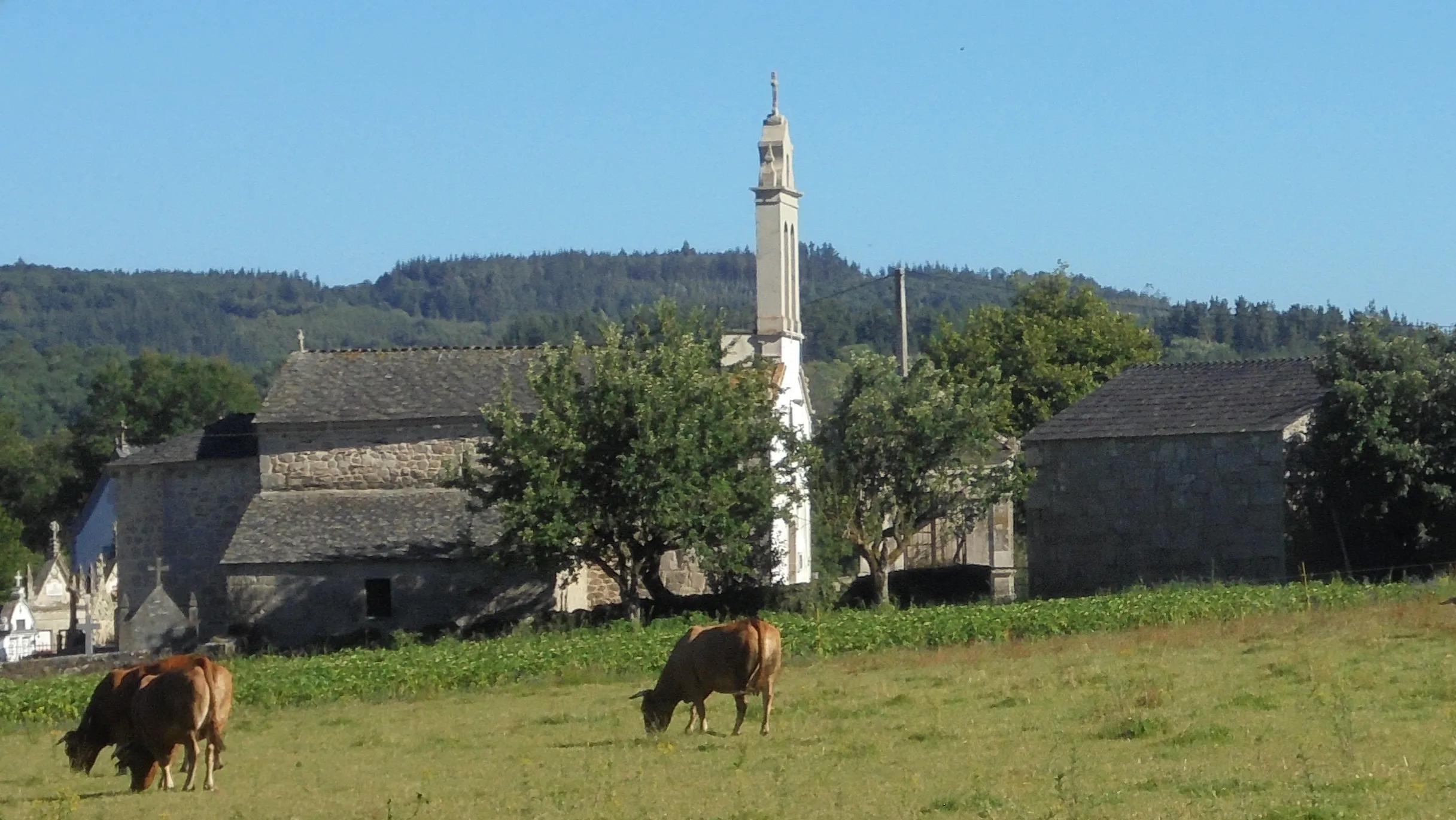 Imagen etapa siguiente