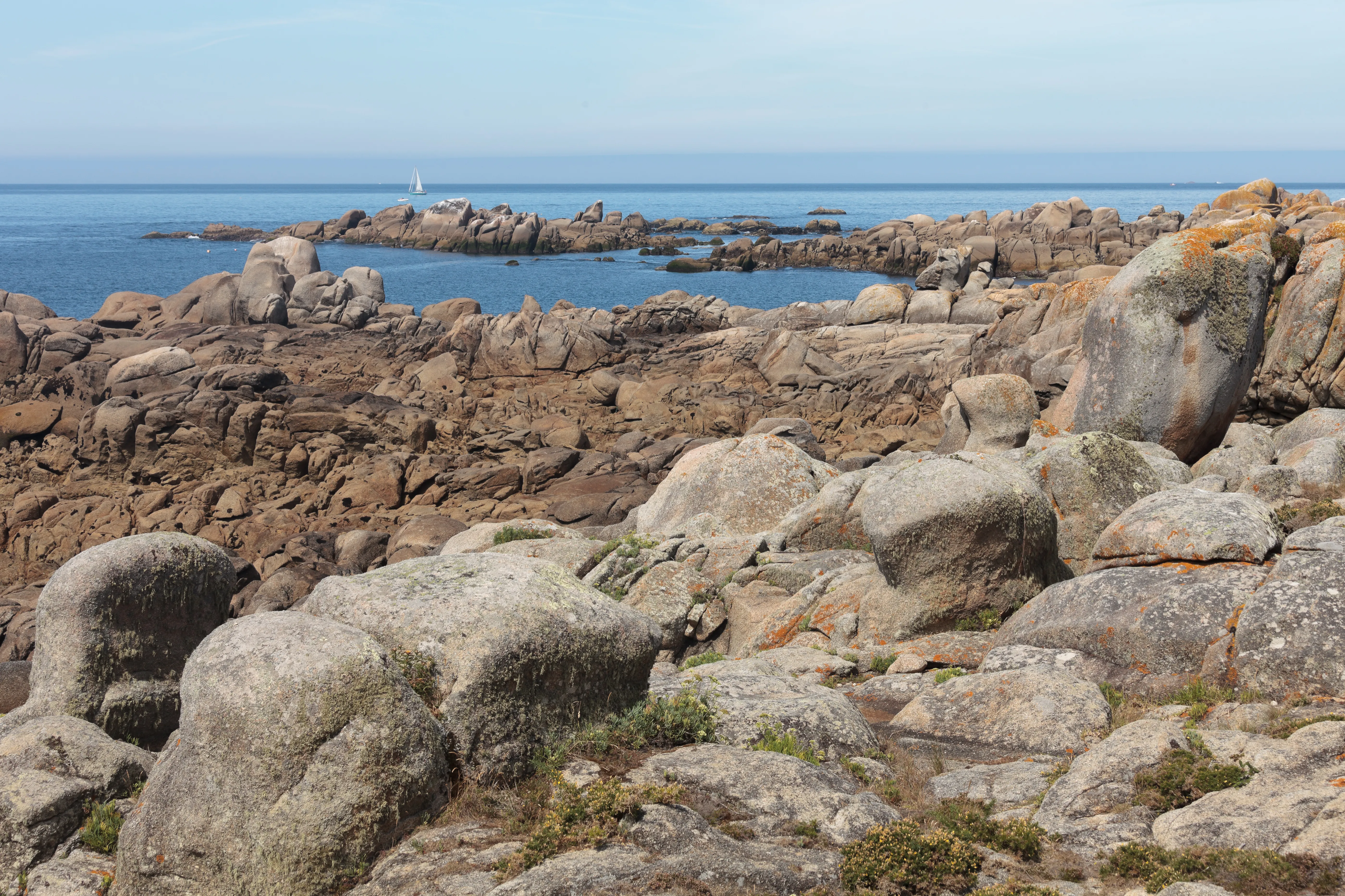 Imagen etapa anterior