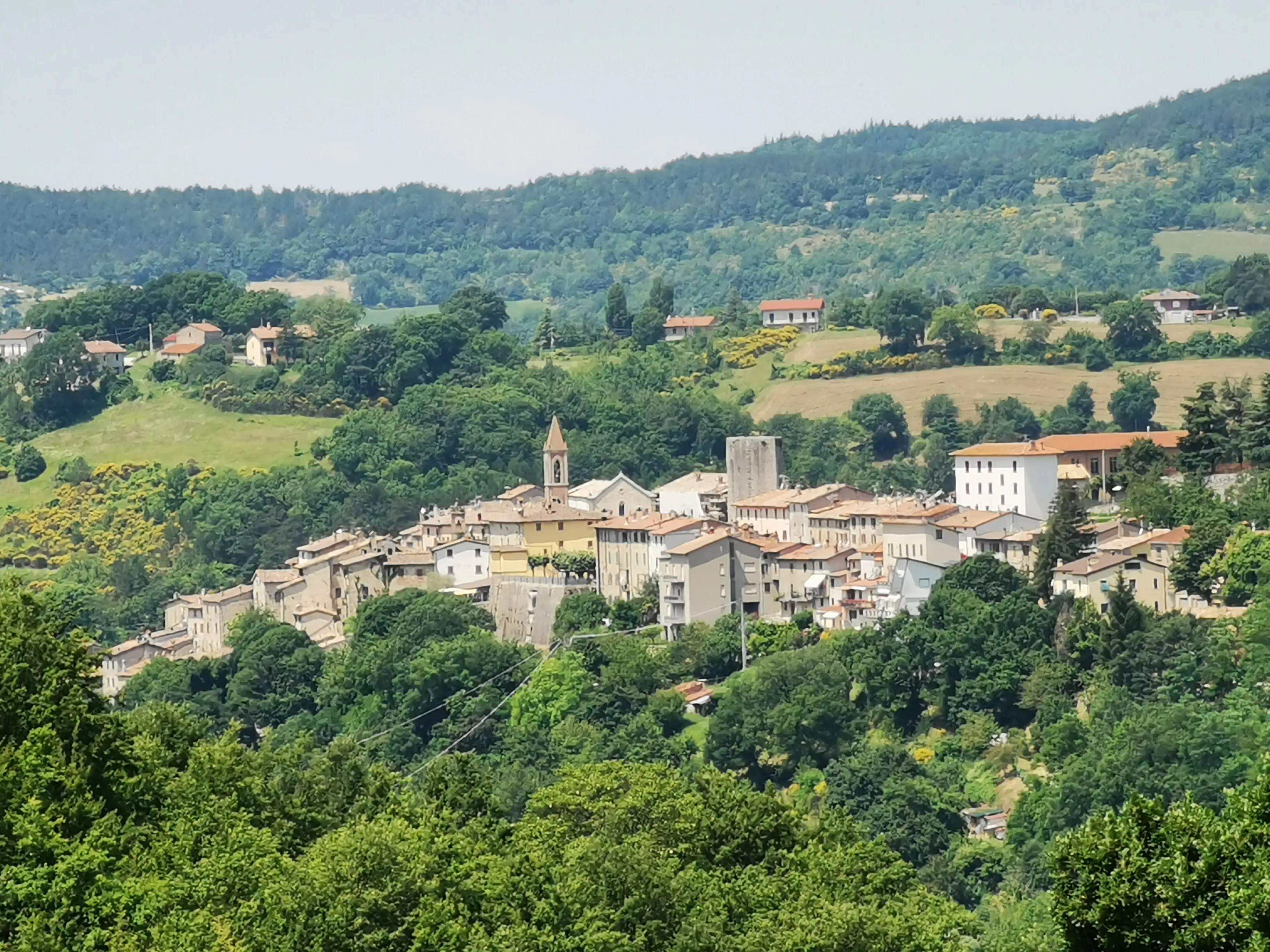 Imagen etapa anterior