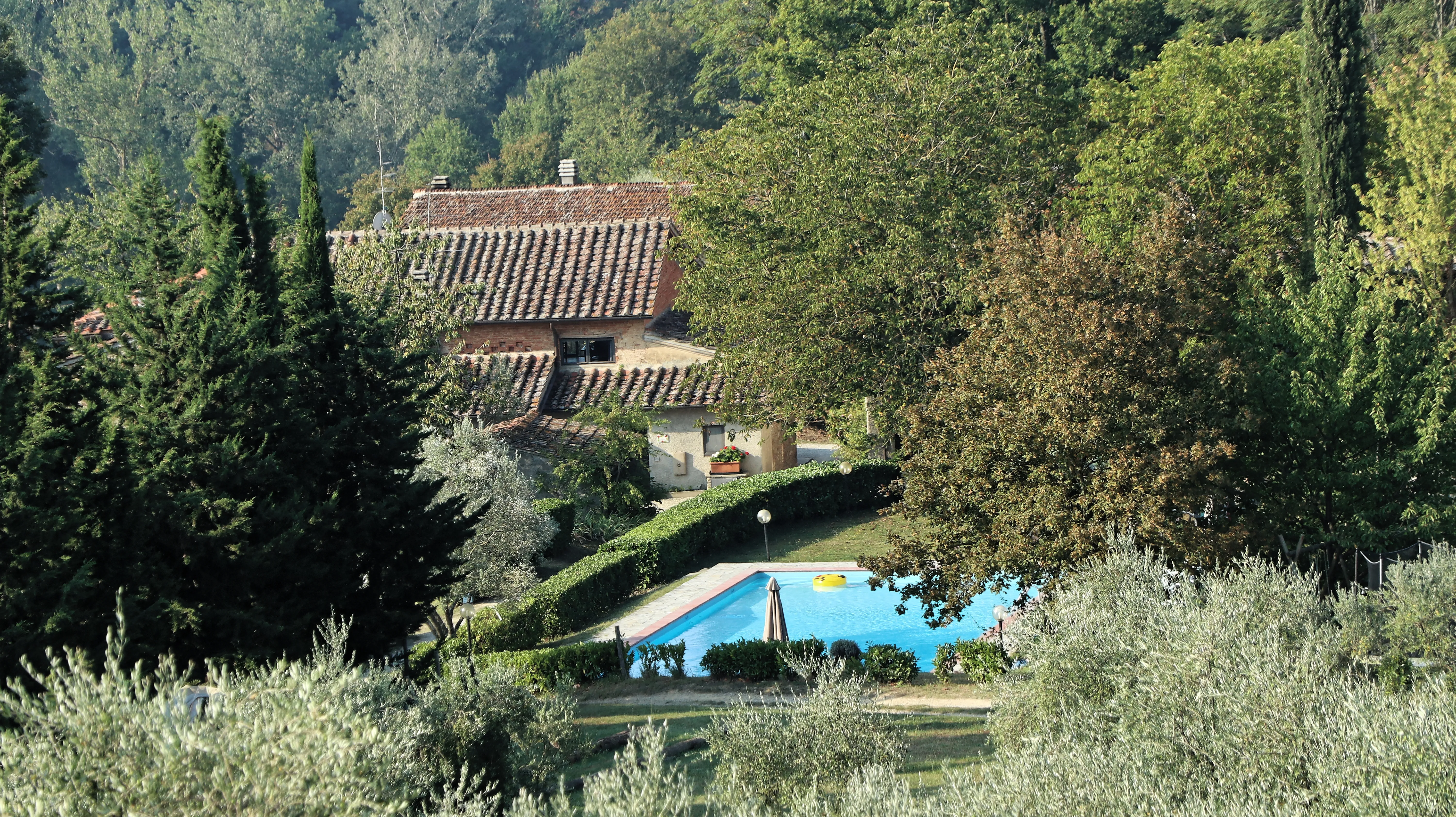 Imagen etapa anterior