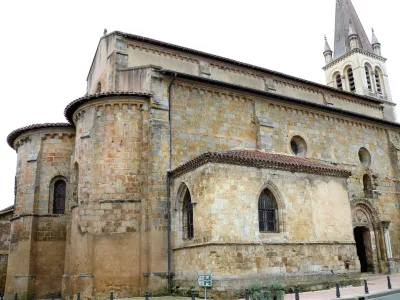 Etapa 23