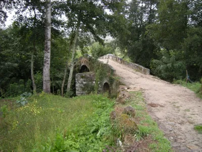 Etapa 20