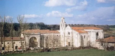Etapa 12